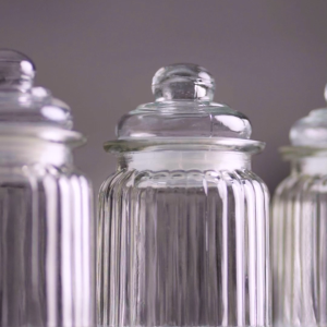Slique Borosilicate Glass Storage Jar Set Glass Jars with Glass Stainless Bamboo Plastic Lids