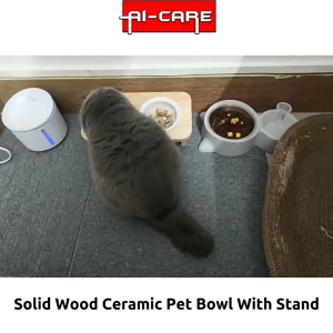Ceramic Double Food Bowl With Stand Pine Wood Based Detachable Pet Food Feeder Neck Protection Mangkuk For Cat & Dogs