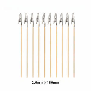 10Pcs Wood Alligator Clip Flat Tip for Standing Base Metal Rubber Soft Clips Painting Stick for Model Coloring Tool for Airbrush Model Par