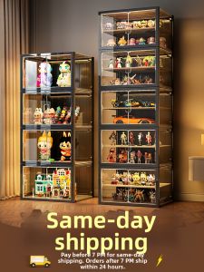 Model Storage Display Cabinet