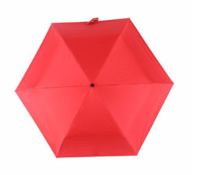MOLORE | Ultra-light Five-fold Sunshade Umbrella