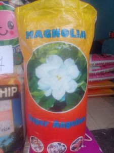 Magnolia Super Angelica Rice 25kg