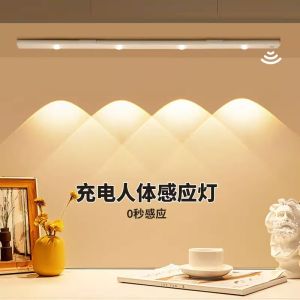Motion Sensor Cabinet Light Charging Strip