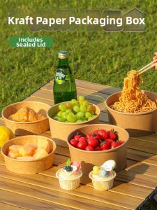 Portable Paper Bento Box