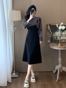 New Chinese Style Knitted Long Sleeve Dress Womens Autumn Winter High-End Feeling Two-Piece Set National Trend Shoulder Bared Vest Long Skirt
