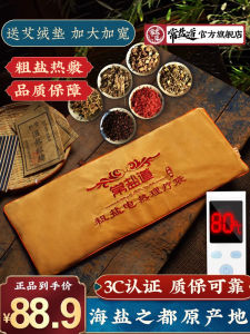 Electric Heating Salt Pack Hot Compress Bag Rectangular Shaped Physical Therapy Salt Bag for Neck Shoulder Back And Waist