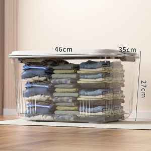 Transparent Wheeled Storage Box