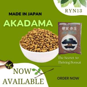 Japan Akadama soil-Top quality Hard AKADAMA- japan akadama