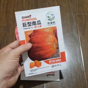 Hạt giống bí ngô khổng lồ gói 5 hạt hàng nhập khẩu