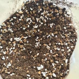 ดินสูตร 2 (ดินCacter) สูตรโปร่งพิเศษ จาก Thai worm ขนาด 5-30 กก. ดินสูตร2 - Lazada