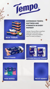Tempo Petit Applewood Pocket Facial Tissue (4-Ply x 36 Packs x 7 Sheets)