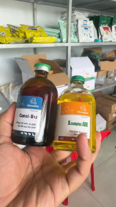 Combo phục hồi cho heo gà của Vemedim | Bổ sung canxi và vitamin B12 | Gồm 2 lọ mỗi lọ 100 ml | Dùng trong chăn nuôi