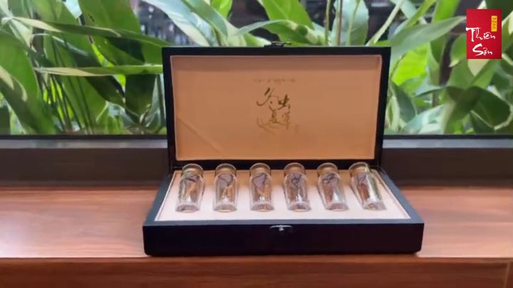 16 con Đông Trùng Hạ Thảo Tây Tạng, Đông trùng hạ thảo khô nguyên con cao cấp loại size 4 con