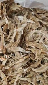 ปลาหัวยุ่ง ปลาหัวยุ่งพม่า ไม่มีหัว 1กิโลกรัม ไซส์ที่นิยมเป็นอย่างมาก