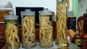 Bình Trụ Có vòi Họa Tiết Rồng Nhiều Kích cỡ