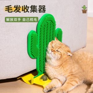 Cactus style cat toy Cat ticket with catnip corner rule ticket cat scratch pad Scratchable cat toy mint ball