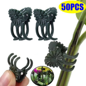 Kẹp cây 50/100 kẹp cây 5 móng vuốt hoa phong lan kẹp hỗ trợ leo cây nho kẹp kẹp bó cành dụng cụ làm vườn