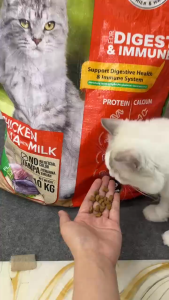 Family Pets Chicken Tuna With Milk Cat Dry Food 10kg - Digest & Immune - No Artificial Colour - Omega 3 & 6 - Skin & Shiny Coat