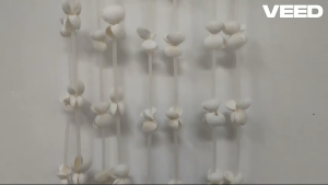 Traditional Handicrafts Sea Shell Hanging Decoration Main Door Decorative Toran | Diwali Decoration | Wall Hanging Mala Item (Size - 5.5 Ft | Pack of 2 Pcs)