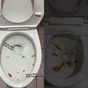 Hera Tornado Flush One Piece Toilet Bowl 7300-3