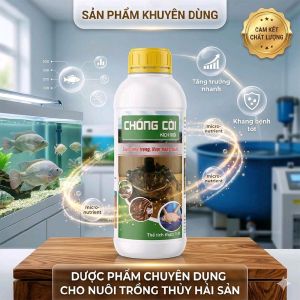Chống Còi Tăng Trọng Cho Cá Ếch Lươn 1 Lít Kích Ăn Mạnh Giúp Lớn Nhanh Đồng Đều Chắc Thịt Khỏe Mạnh Bổ Sung Protein Canxi Khoáng Chất Axit Amin
