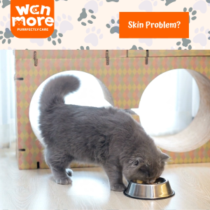 WAN MORE Skin & Coat Soft Chew for Cat & Dog Contain Salmon Oil and Krill Oil