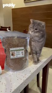 [5kg] Hạt Cho Mèo Mọi Lứa Tuổi Nutri Plan Cat All Stage Plus