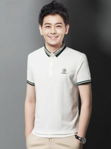 ROMON | Lomond Mens Short Sleeve T-Shirt Summer Thin Business Casual Loose With Collar White Ice Silk Half Sleeve Polo Shirt