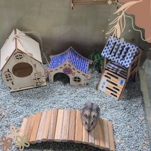 Bendy Bridge Jembatan Hamster Kayu Fleksibel P 20 L 4