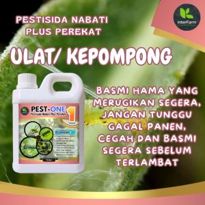 PESTONE Pembasmi hama Ulat Dan Pupa 1 liter Pembasmi hama tanaman Organik INTERFARM Plus Perekat