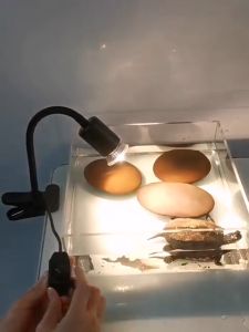 MiniSun UVA UVB 3.0 ชุดขั้วหลอดไฟ หลอดไฟให้ความร้อน 220V สำหรับเต่าน้ำ เต่าบก สัตว์เลื้อยคลาน ใช้คู่กับขั้วหลอดไฟเซรามิคได้