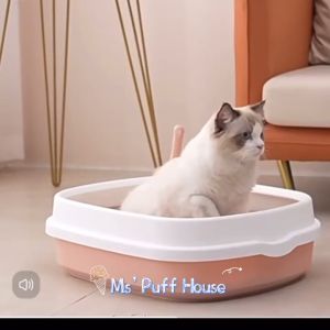 กระบะทรายแมว กระบะทรายแมวขอบสูง ห้องน้ำแมว พร้อมที่ตัก มีตะแกรงตักทราย ป้องกันทรายกระเด็น(พร้อมส่ง)