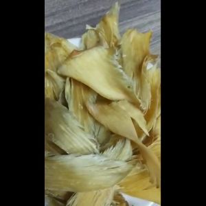 50GR Vi cá nguyên miếng chất lượng hỗ trợ chữa bệnh và bồi bổ làm quà biếu tặng (size 12-18cm)