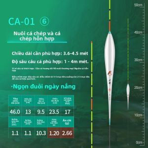 CHUANZE | Phao Hiển Thị Đêm Cảm Biến Độ Nhạy Cao