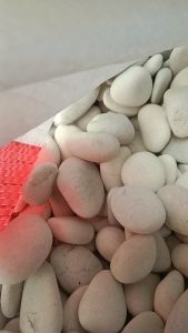 batu koral putih kupang 1 kg batu hiasan pot aquarium taman therapy batu alam murah