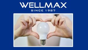 (Clearance Sale) WELLMAX Ballet Samsung LED Light Bulb E27 Energy Efficient Energy Saving Screw Light Bulb 5W 9W 15W 18W 23W