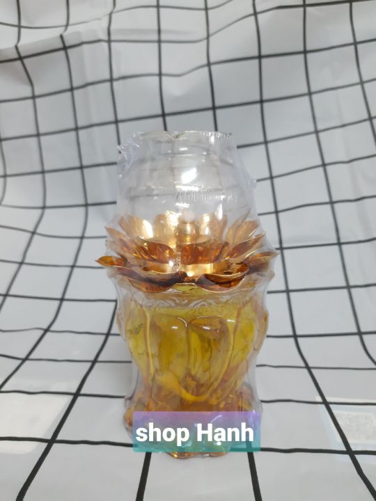 %C4%90%C3%A8n%20d%E1%BA%A7u%20th%E1%BB%A7y%20tinh%20-%20Image%201