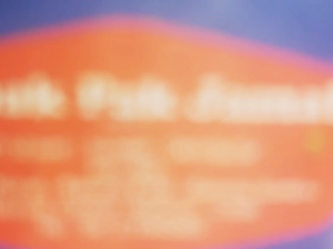 Bawang PUTIH KATING - 1 Kg - LPJ