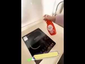 Bed Bug Killer Spray 500ML harmless to human body bedbug surot killer spray pamatay sa surot bedbugs