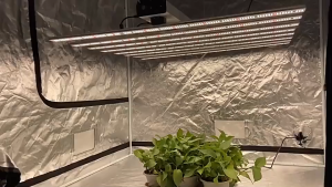 สินค้ามือสอง พร้อมส่งไฟปลูกต้นไม้ LED Grow Light 6BAR 1000W Samsung LM301B ไฟเลี้ยงต้นไม้ led ปลูกต้นไม้ หลอดไฟปลูกพืช