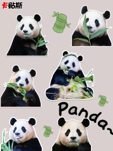 Waterproof Panda Scratch Cover Car Stickers Triangular Decoration Personalized Luggage Creative Sticker Fubao Cute Animal Pattern