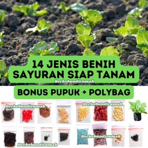 Paket Benih 13 Jenis Sayur BONUS POLYBAG PUPUK NPK Paket Lengkap Bibit Sayuran - Berkebundirumah