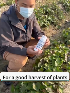 🥦Kills 166 types of pests🌾plant insecticide spray 500ml vegetable insecticide spray