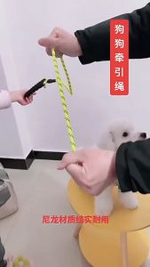 Doge&Orange พร้อมส่ง สายจูงสุนัข สายจูงสัตว์เลี้ยง สายจูงแมว คุณภาพดี หลายสี หลายแบบ หลายไซส์ สีแดง สีดำ สีฟ้า สีเขียว MIP89