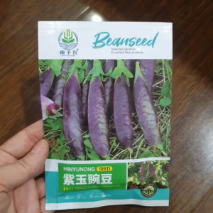 Hạt giống đậu ván Đen Tím màu sắc đẹp độc lạ sai trái dễ trồng - Hoang My food and beauty