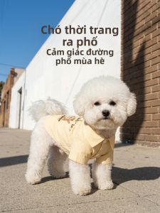 hipidog | Áo Thun Mùa Hè Cho Chó Thời Trang