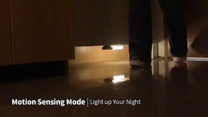 Goldstar Solid Wooden Indoor Rechargeable Motion Sensor Night Light Magnet Body Sensor Night Lights Hand-Held Portable LED Wall Sconce Emergency Lights for Home Power Failure