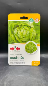 ศรแดง ผักสลัด บัตเตอร์เฮด เบลล่ากรีน หมดอายุ 25/02/2569 จำนวน 40 เมล็ด สีเขียวสวย รสชาติหวานกรอบ อร่อย อายุเก็บเกี่ยว 55 วัน npkplant