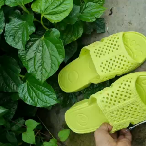 DÉP TỔ ÔNG ASIA SIÊU NHẸ siêu bền