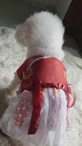​[TẾT 2026] Đồ Cổ Trang Hanfu màu đỏ Cho Chó Mèo - Áo dài Tết chó mèo - Đồ Tết chó mèo - Váy đầm công chúa cho chó mèo - thời trang thú cưng - quần áo chó mèo - phụ kiện thú cưng size 3kg - 7kg